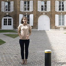 Champagne de Marque et de Vignerons 1